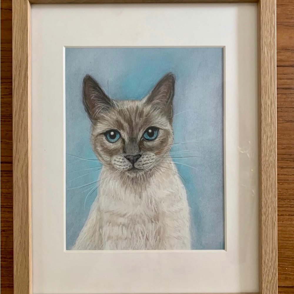 Pastel painting cat. Artist G. Vlasova. New, original. Framed in black glass 59$